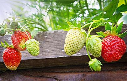 复古横版《月光骑士的复仇》明年1.12发售 试玩版已上线